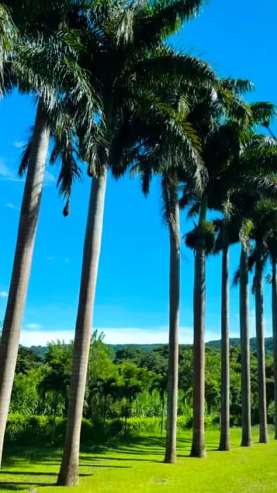 Hotel Capitan Suizo, Playa Tamarindo — фото погоды в сентябре (2025-09-18)