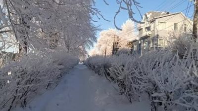 Соломбала, Архангельск в феврале — фото погоды (2026-02-01)