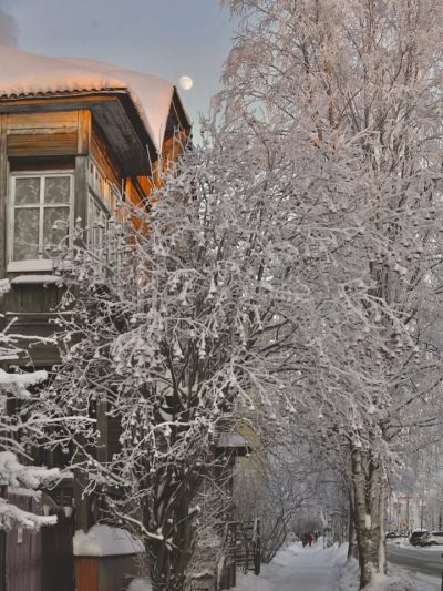 Соломбала, Архангельск в феврале — фото погоды (2026-02-03)