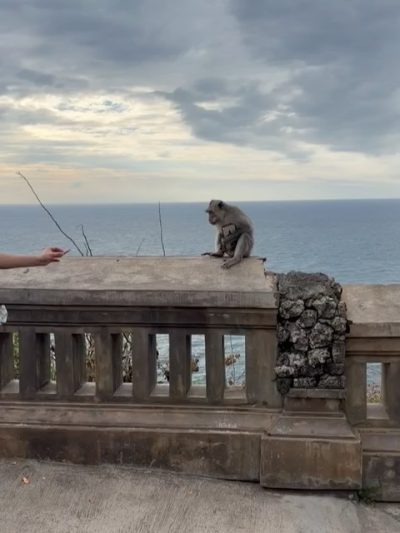 Uluwatu Temple Uluwatu в марте — фото погоды (2026-03-11)