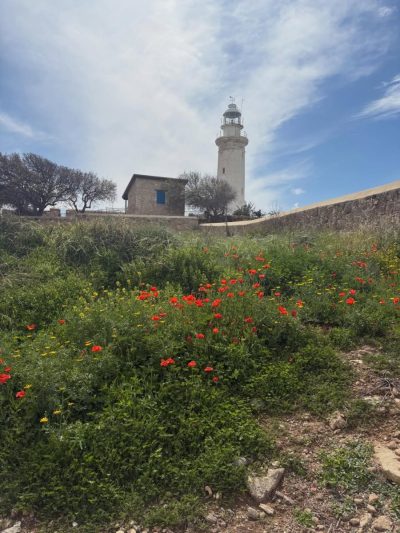 Paphos Archaeological Park в марте — фото погоды (2026-03-26)