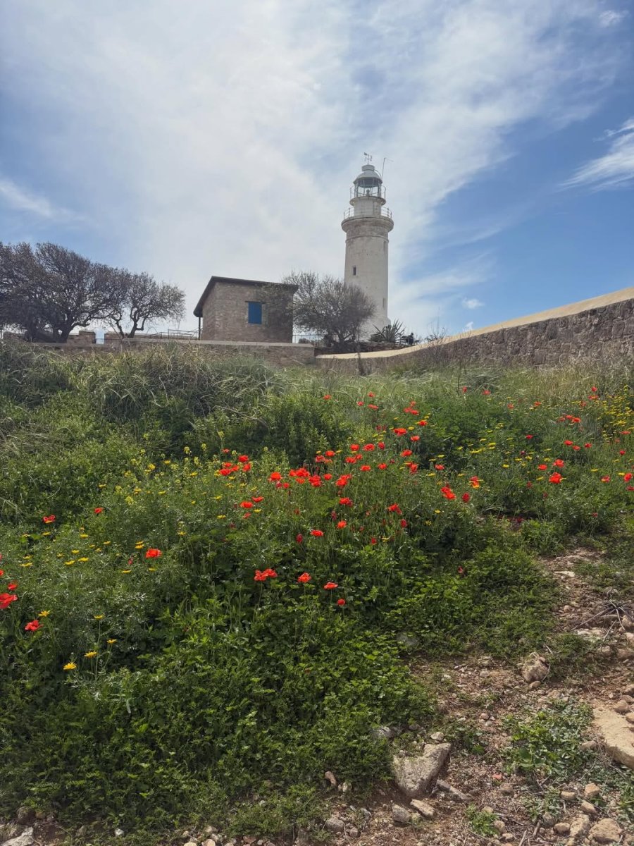 Погода в Paphos Archaeological Park