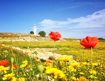 Paphos Archaeological Park в апреле — фото погоды (2026-04-14)