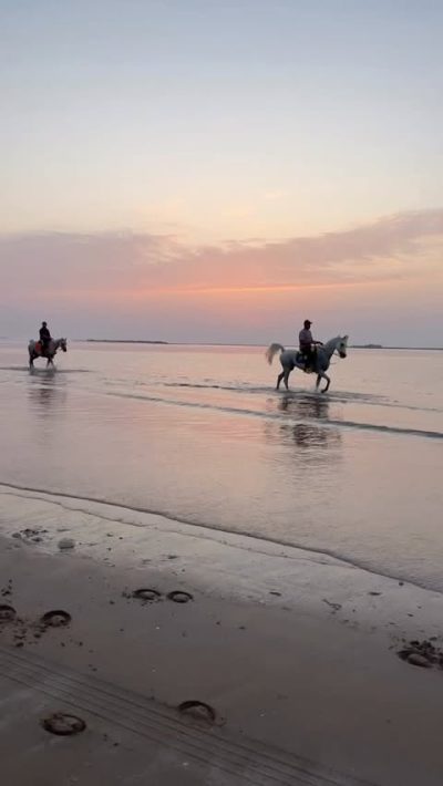 Al Marjan Island جزيرة المرجان в апреле — фото погоды (2026-04-29)
