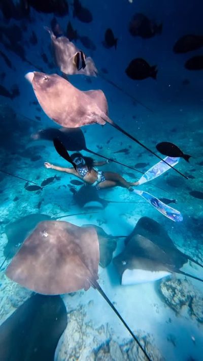 Maafushi Beach, Maldives в ноябре — фото погоды (2025-11-14)