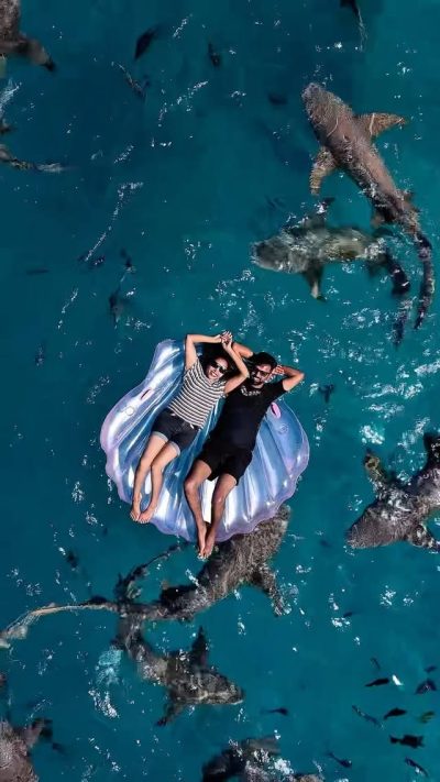 Maafushi Beach, Maldives в июле — фото погоды (2026-07-09)