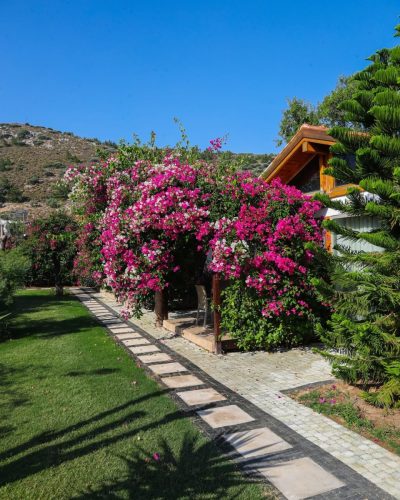 Palamutbuku, Datca в июне — фото погоды (2026-06-22)