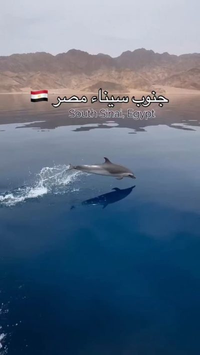 Nuweiba в декабре — фото погоды (2025-12-23)