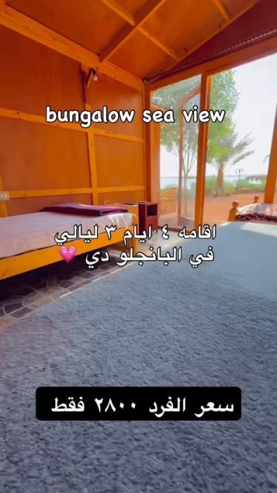 Nuweiba в январе — фото погоды (2026-01-04)
