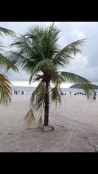 Cenang Beach в июне — фото погоды (2026-06-30)