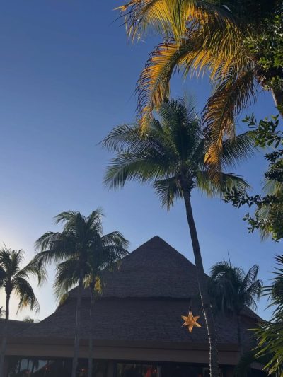 Bahia Principe Explore Coba в январе — фото погоды (2026-01-06)