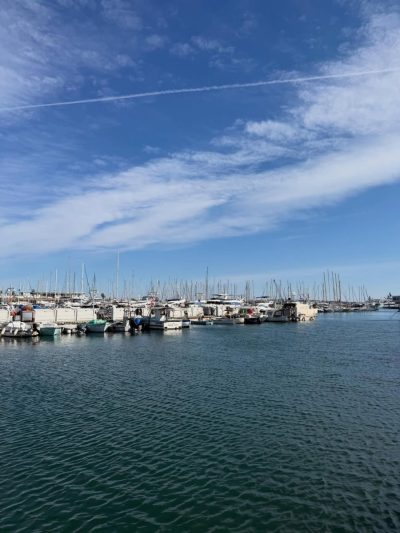 Vieux Port, Cannes, France в марте — фото погоды (2026-03-26)