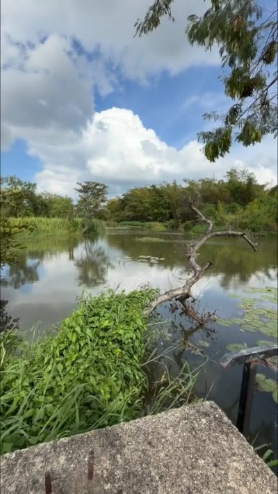Jetwing Vil Uyana, A Luxury Reserve в июне — фото погоды (2026-06-22)