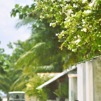 Maalhos (Alif Alif Atoll) в ноябре — фото погоды (2025-11-02)
