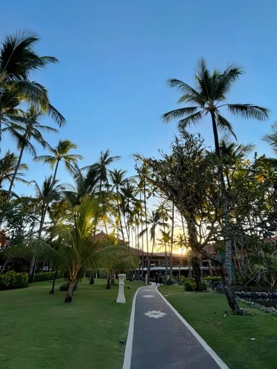 Paradisus by Meliá Bali в июне — фото погоды (2026-06-29)