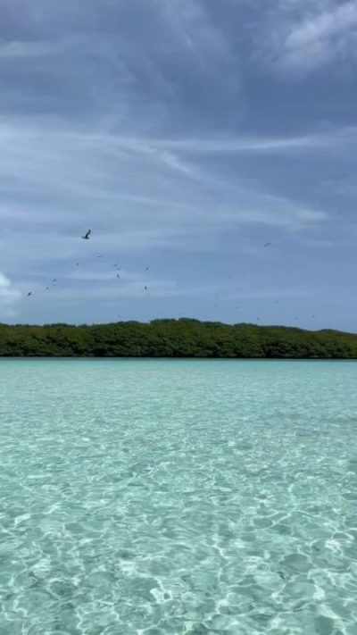 Los Roques в июле — фото погоды (2026-07-16)