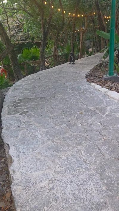 Sandos Caracol. Riviera Maya, Mexico в феврале — фото погоды (2026-02-25)