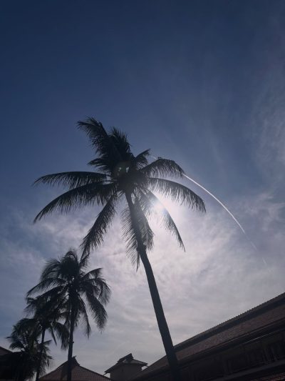 Furama Resort Da Nang в мае — фото погоды (2026-05-27)