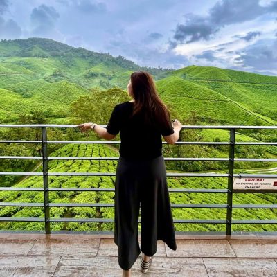 Boh Tea Plantation,Cameron в апреле — фото погоды (2026-04-16)