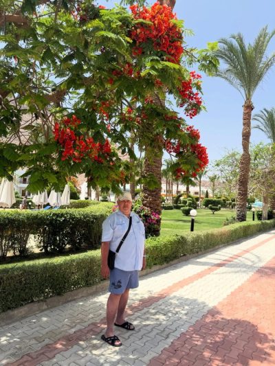 Happy Life Village, Dahab, Egypt в мае — фото погоды (2026-05-15)