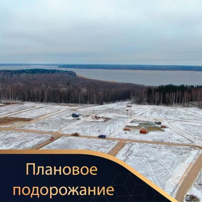 Armada. Земельные участки СПБ в феврале — фото погоды (2023-02-14)