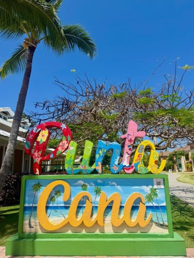 Punta Cana - Dominican Republic - Caribbean Sea в апреле — фото погоды (2026-04-25)