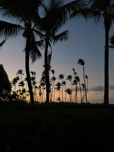Punta Cana - Dominican Republic - Caribbean Sea в июне — фото погоды (2026-06-19)
