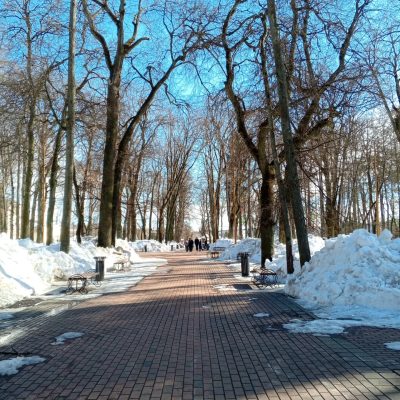 Калужская область в марте — фото погоды (2026-03-08)