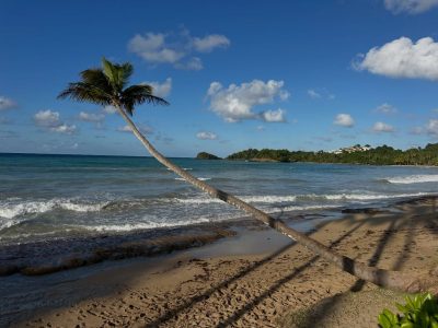 Playa Bonita, Las Terrenas (Samana) в феврале — фото погоды (2026-02-18)
