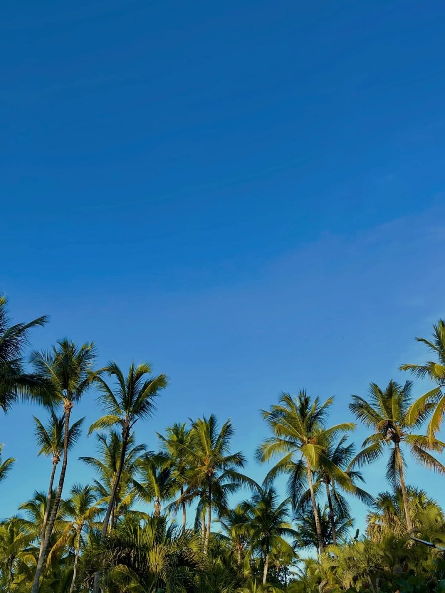 Погода в Playa Bonita, Las Terrenas (Samana)