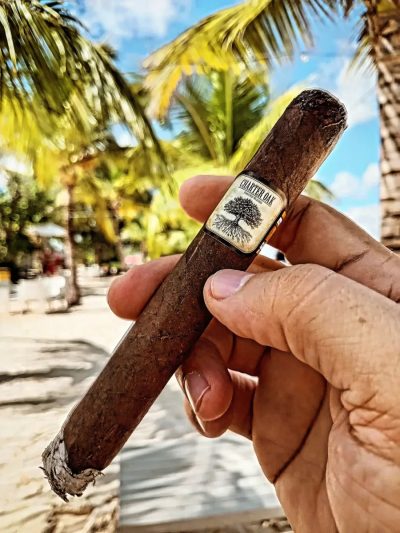 Playa Bonita, Las Terrenas (Samana) в июне — фото погоды (2026-06-27)
