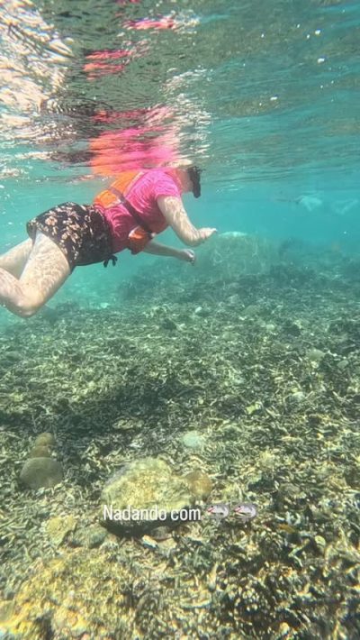 Mango Bay, Koh Tao, Thailand в мае — фото погоды (2026-05-28)