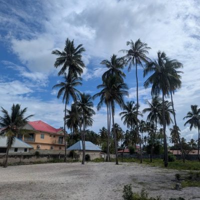 Matemwe Zanzibar в июле — фото погоды (2026-07-13)