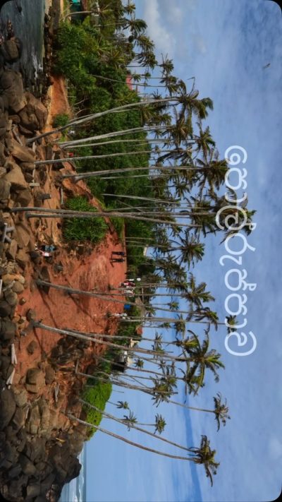 Coconut tree hill, Mirissa в июне — фото погоды (2026-06-30)