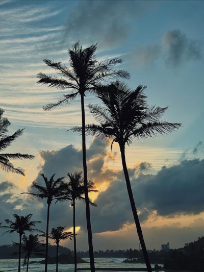 Coconut tree hill, Mirissa в июле — фото погоды (2026-07-01)