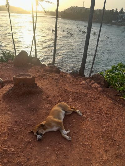Coconut tree hill, Mirissa в июле — фото погоды (2026-07-08)
