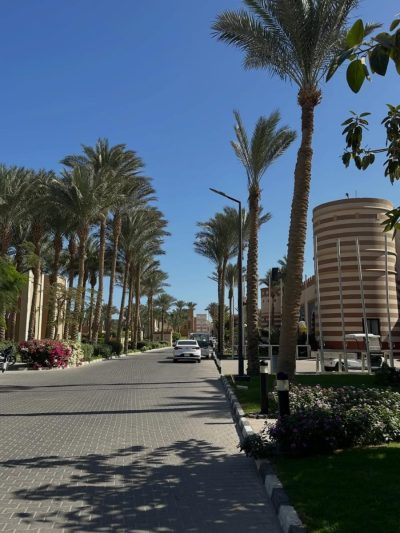 Marsa Alam в январе — фото погоды (2026-01-26)