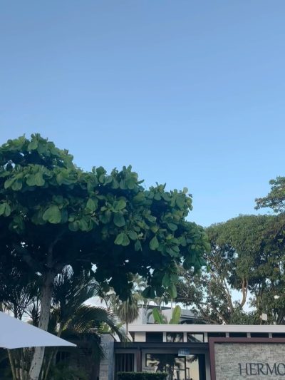 Playa Hermosa, Puntarenas, Costa Rica в декабре — фото погоды (2025-12-23)