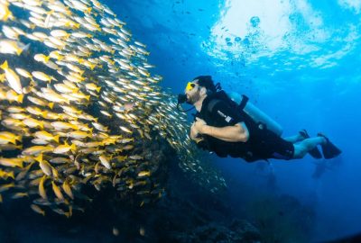 Kho Phi Phi Island, Thailand в январе — фото погоды (2026-01-05)
