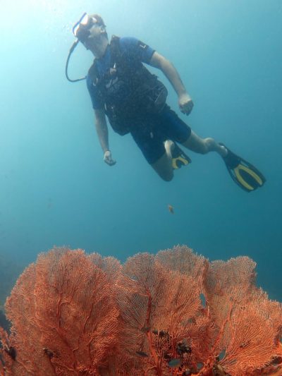 Kho Phi Phi Island, Thailand в феврале — фото погоды (2026-02-22)