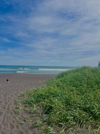 Snowave Surf Camp в июле — фото погоды (2026-07-21)