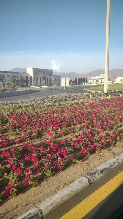 Hatta Wadi Park в апреле — фото погоды (2026-04-03)