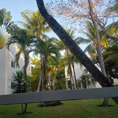 RIU Tequila Resort Mexico — фото погоды в мае (2026-05-08)
