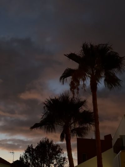 Tenerife <3 в сентябре — фото погоды (2025-09-29)