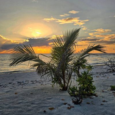 Baa Dharavandhoo в сентябре — фото погоды (2025-09-17)