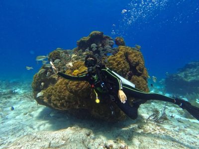 Isla Mujeres (municipio) в марте — фото погоды (2026-03-21)