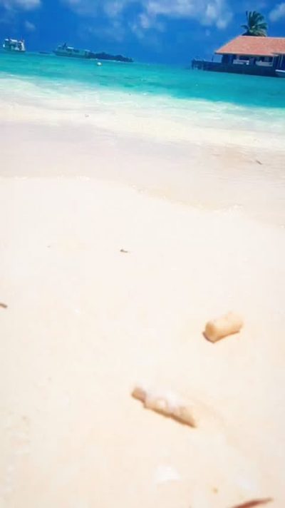 The Maldives, в августе — фото погоды (2025-08-26)