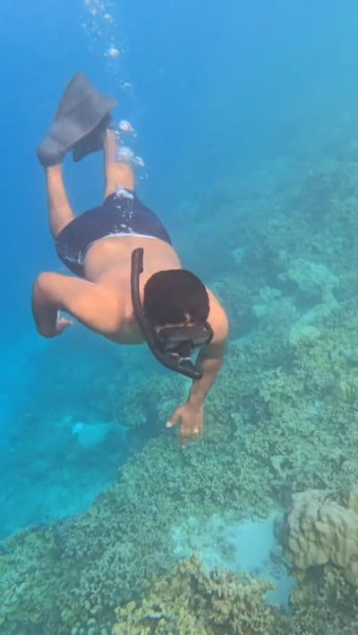 The Maldives, в январе — фото погоды (2026-01-18)
