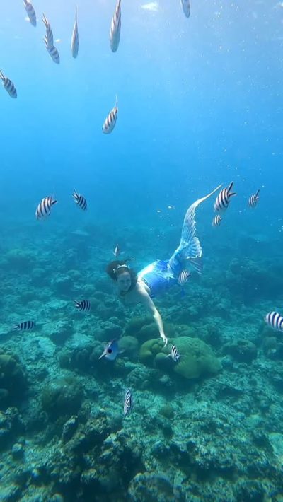 Mauritius Island - Ile Maurice в июне — фото погоды (2026-06-26)