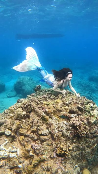 Mauritius Island - Ile Maurice в июле — фото погоды (2026-07-08)